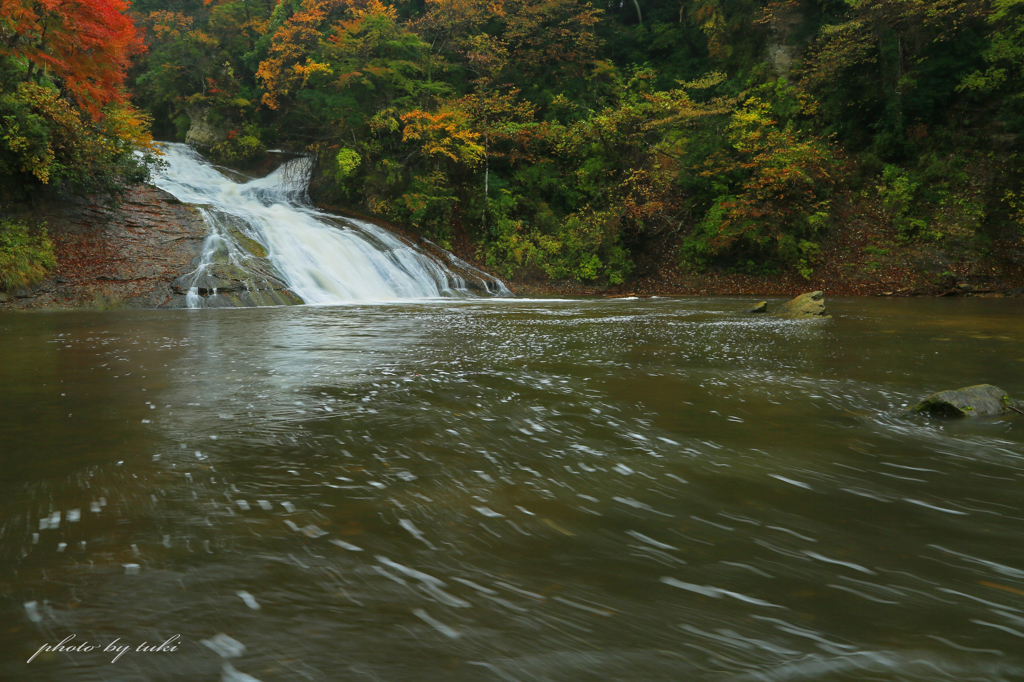 秋の粟又の滝