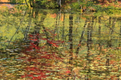 水上のパレット