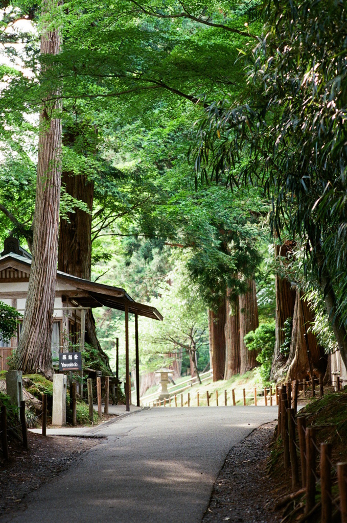 中尊寺