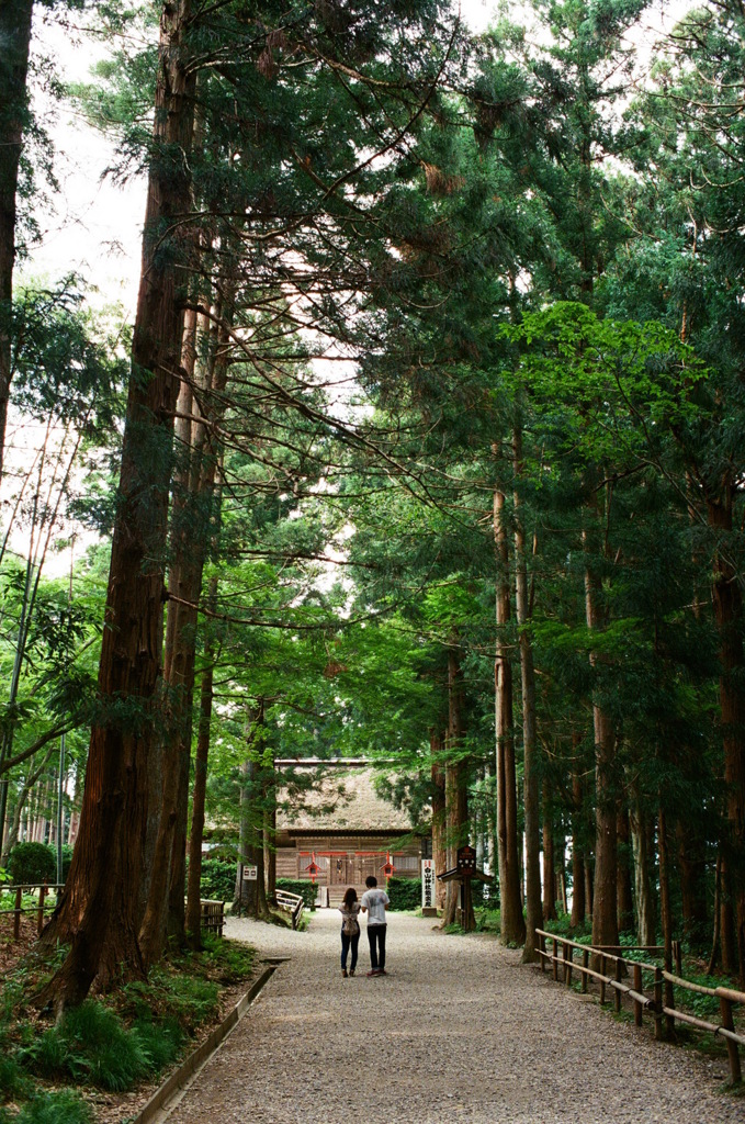 白山神社　木立