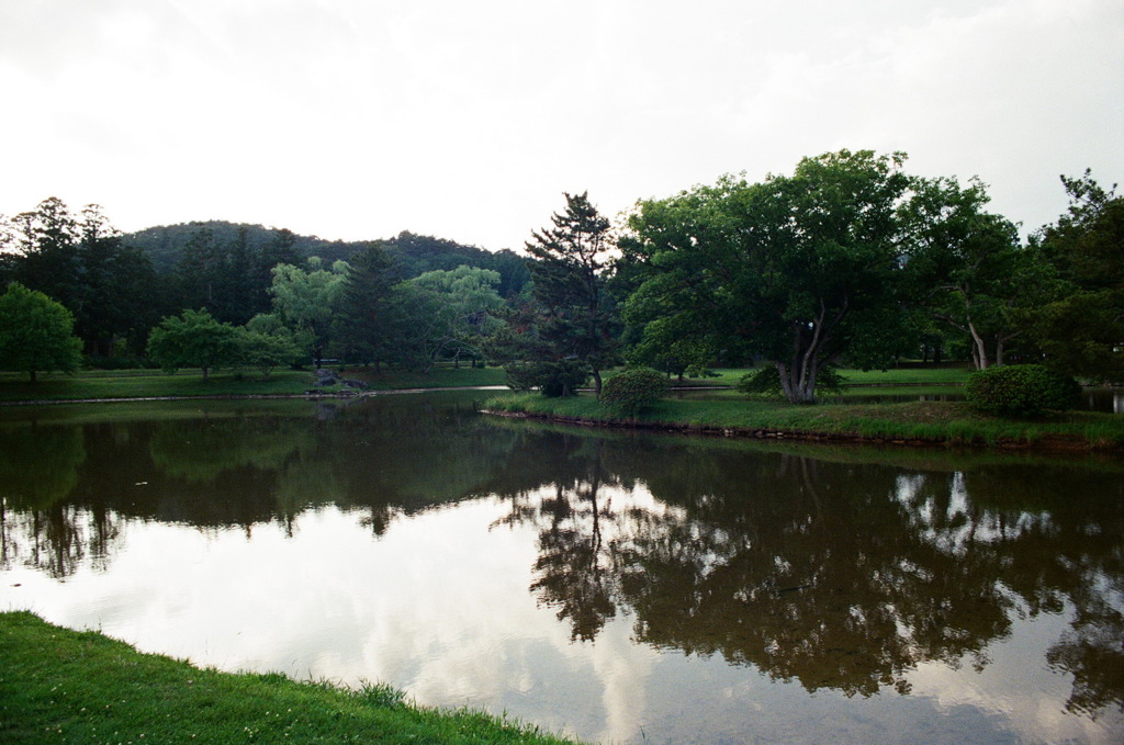 毛越寺
