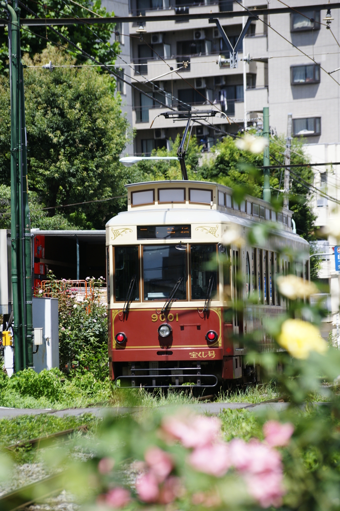 明治カラーの9000形