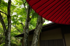 MOA美術館3