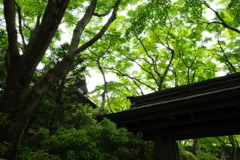 MOA美術館2