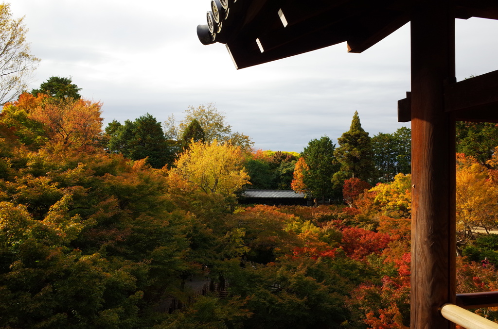 東福寺　通天橋