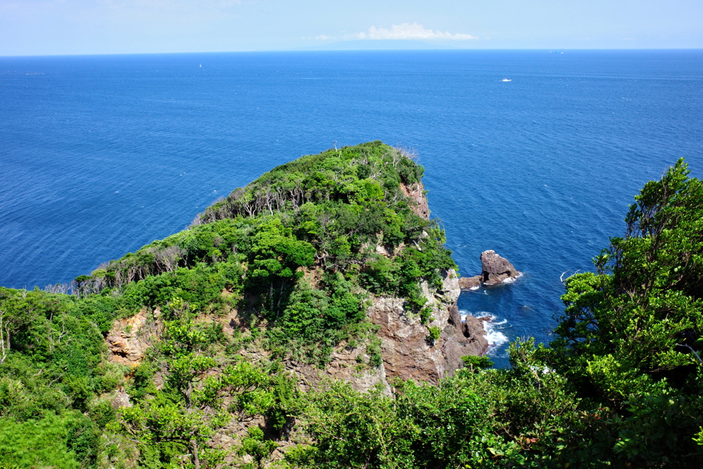 伊豆海岸