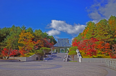 紅葉×MIHO MUSEUM