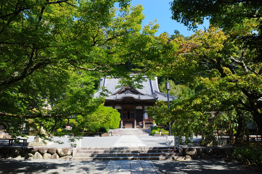 修善寺1