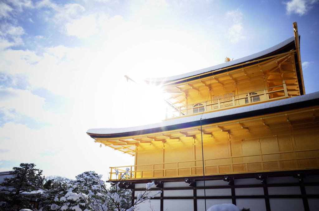 1月3日　鹿苑寺・金閣3