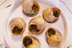 スネイル