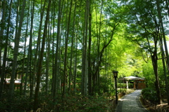 修善寺3