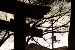 日落ち鳥居