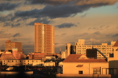 窓からの風景