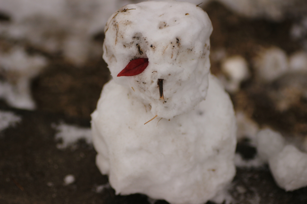 誰かが作った雪だるま