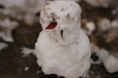 誰かが作った雪だるま