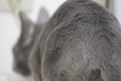 お尻