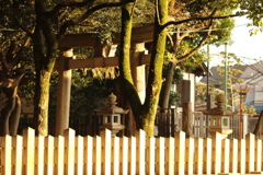 綺麗な鳥居