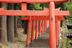 無心にｶﾒﾗ忘れて数えてしまうほど。
