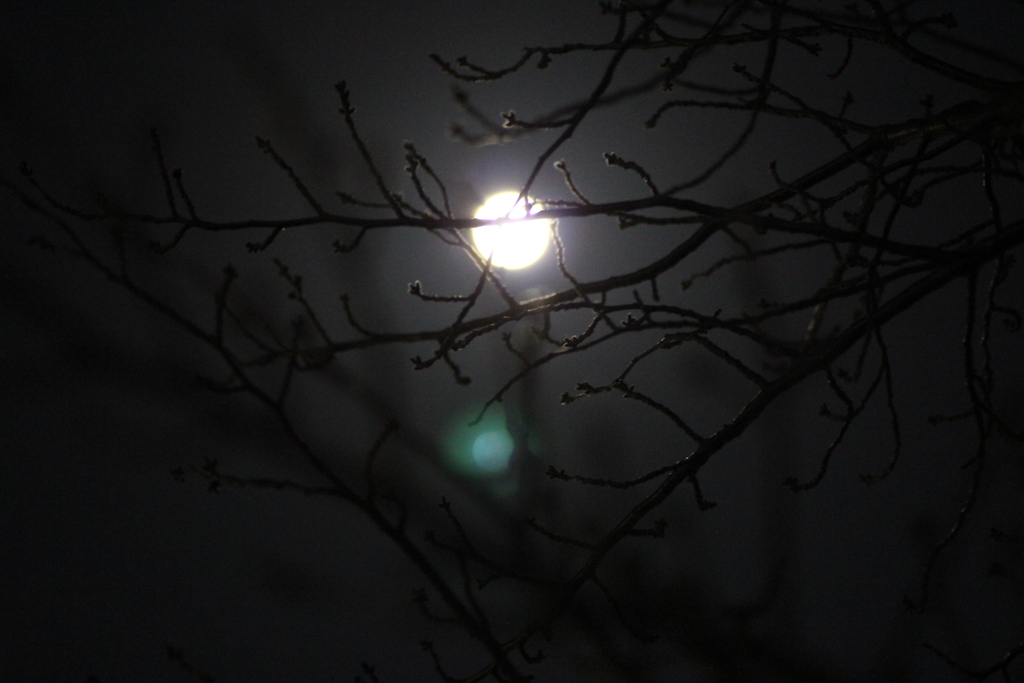 満月の夜