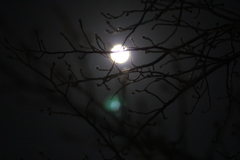 満月の夜