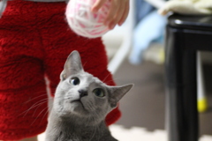 遊ぶの大好き