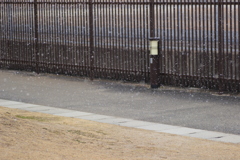 粉雪