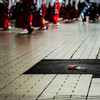 海道よさこい1