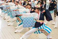 海道よさこい4