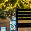 夜の大学