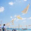 砂浜美術館7