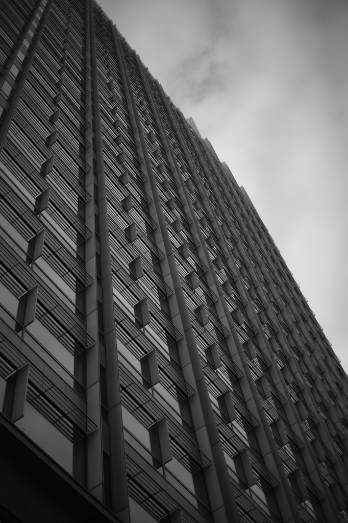 2D7A0319