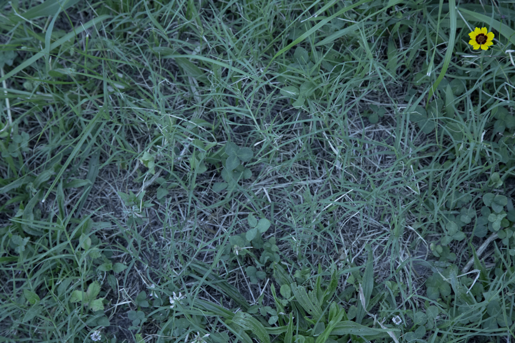 _D7A0772