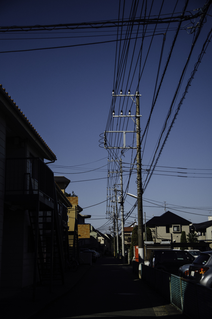 2D7A6948