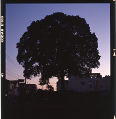 img013