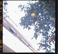 img003