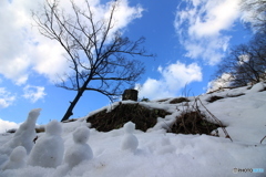 雪だるまたち