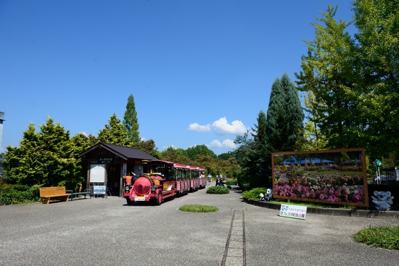 花フェスタ記念公園