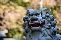 美濃市　大矢田神社