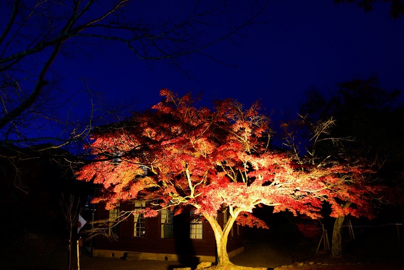 秋の明治村