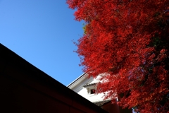 虎渓山　永保寺　紅葉
