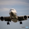 大阪国際空港１２
