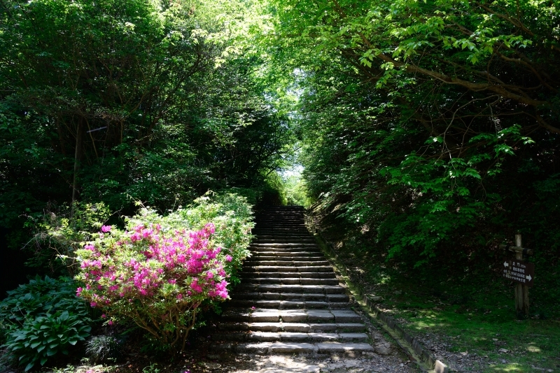 明治村の裏道