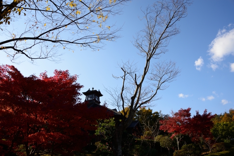 秋の明治村