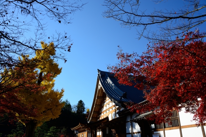 虎渓山　永保寺　紅葉