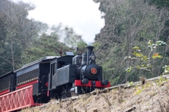 明治村の蒸気機関車