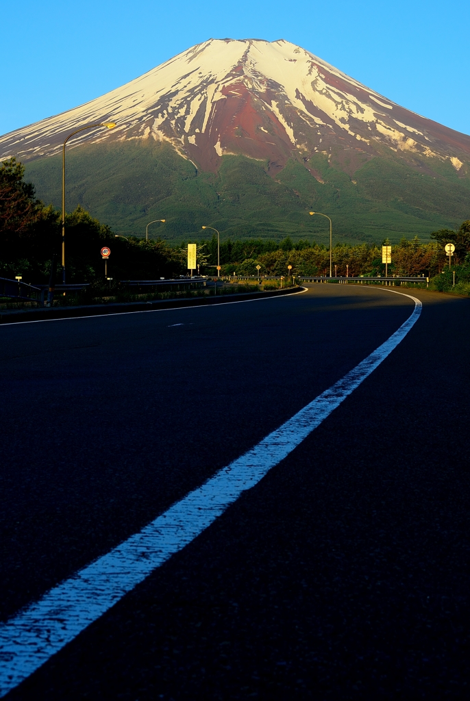 白線のルート