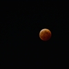 a total eclipse of the moon & Uranus