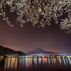 cherry blossoms by night
