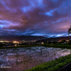 a paddy field