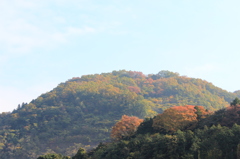 故郷の紅葉（1）